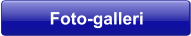 Foto-galleri