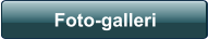 Foto-galleri